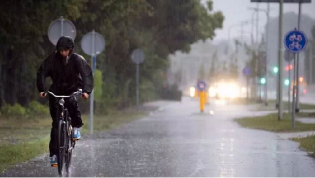 趣味科普：荷兰人下雨天不打伞