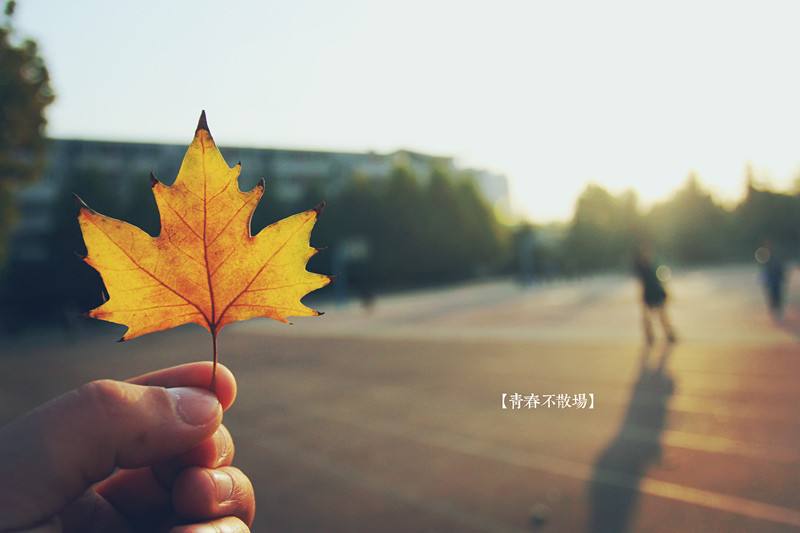 致敬青春!新入职小伙伴他们有话说