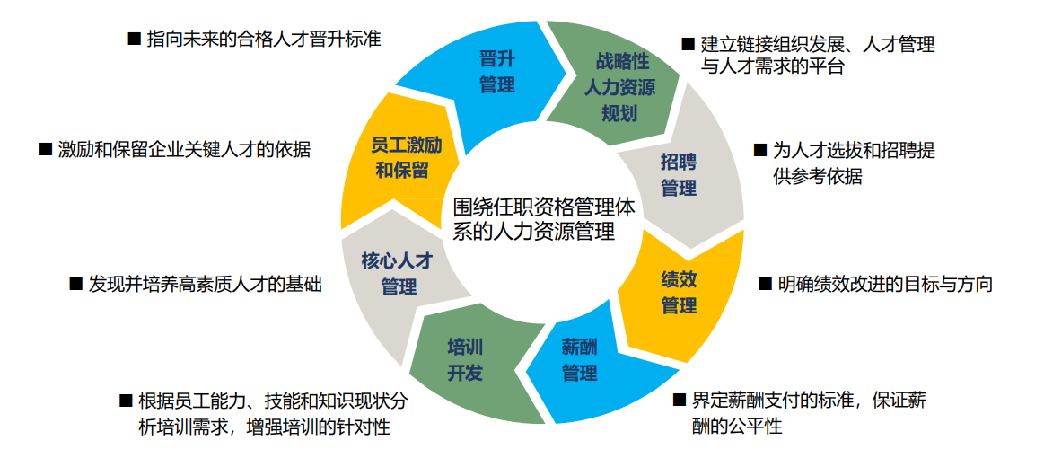 15vip太阳集团注重人才培养