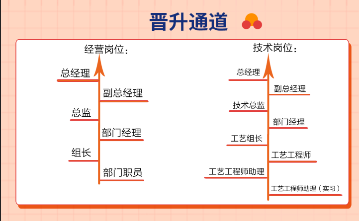 15vip太阳集团注重人才培养