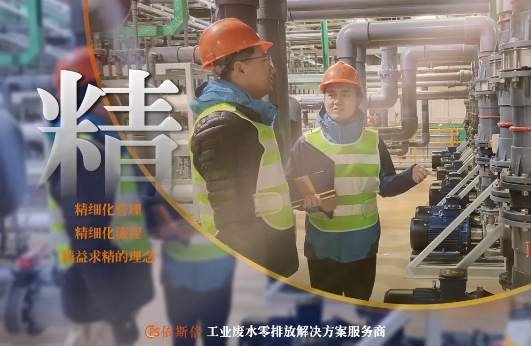 15vip太阳集团入选2022年省级专精特新企业