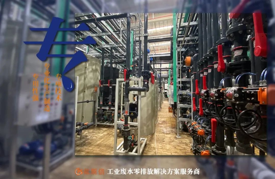 15vip太阳集团入选2022年省级专精特新企业